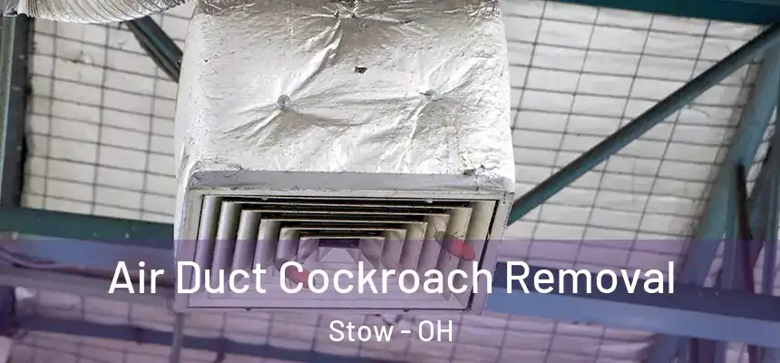 Air Duct Cockroach Removal Stow - OH