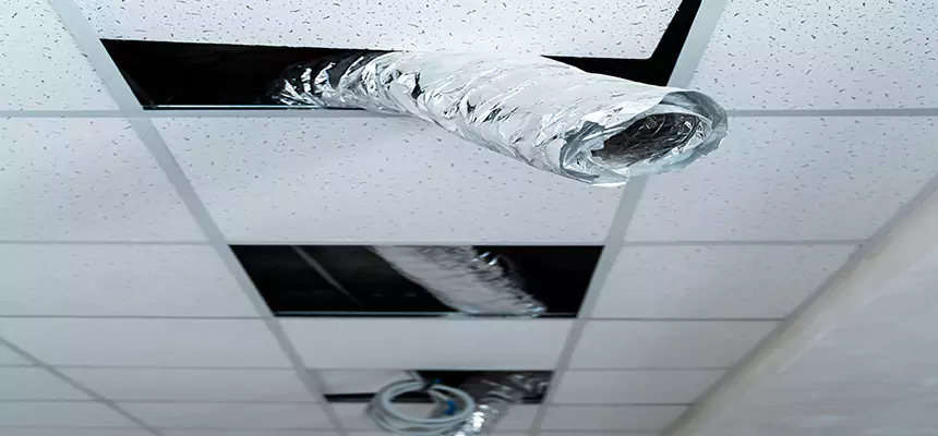 Affordable HVAC Sanitizing After Pest Removal in Stow