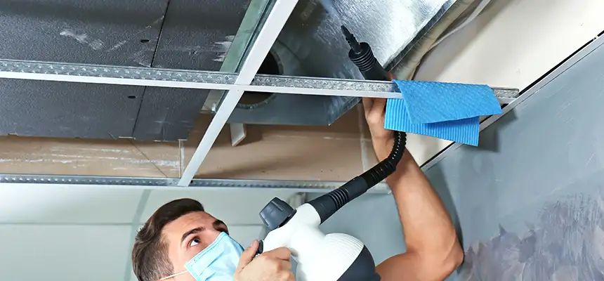 Our Air Duct Rodent Removal Services in Stow, OH