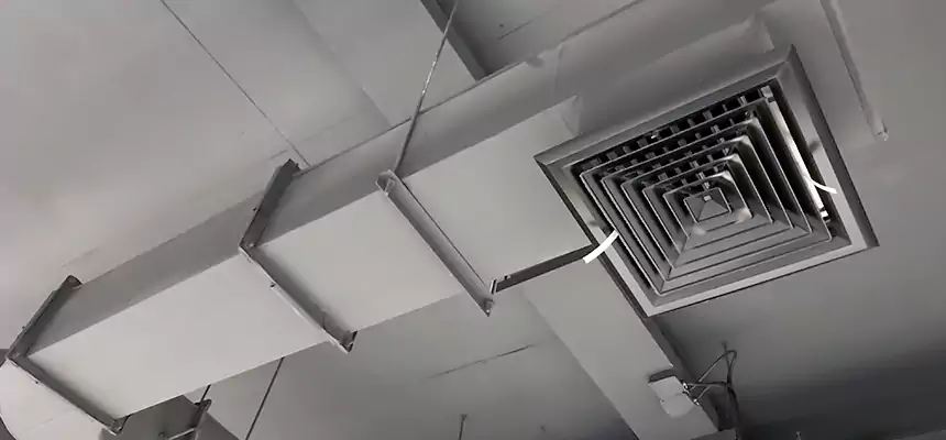 Our Pest Removal From Ducts Services in Stow, OH