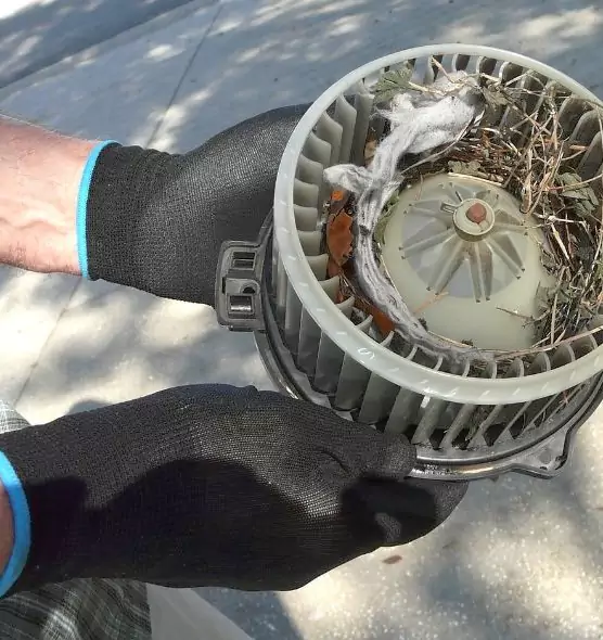 About Air Duct Rat Removal in Stow, OH