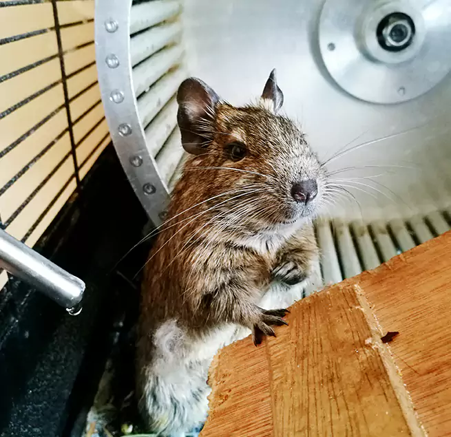 Why Homeowners & Businesses Trust Us Stow, OH